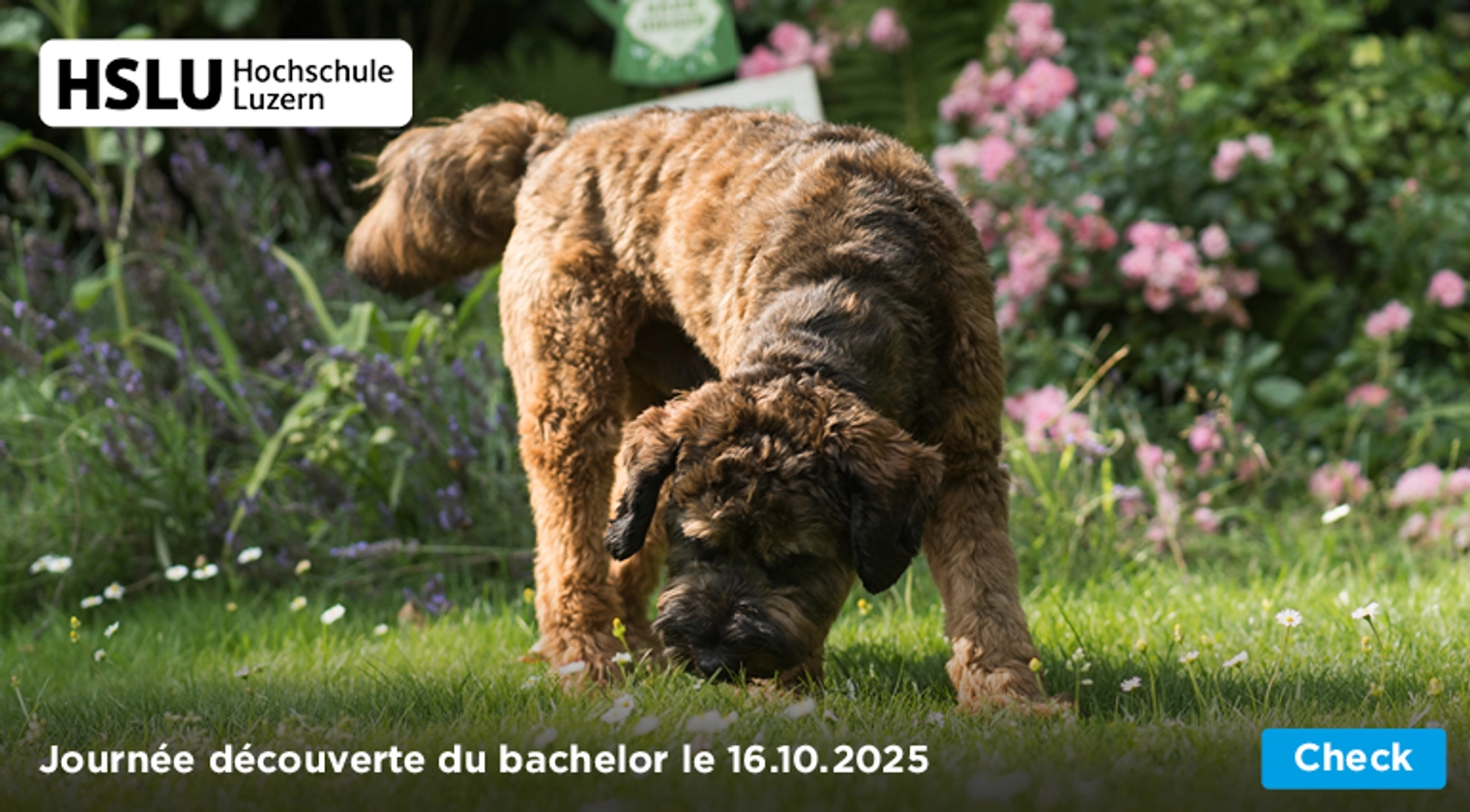 S'inscrire dès maintenant